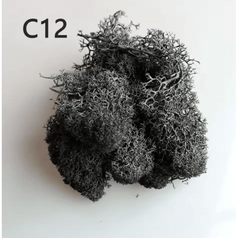 Artificial Preserved Moss Decor Eternal Greenery For DIY Micro Landscape Home Styling 10