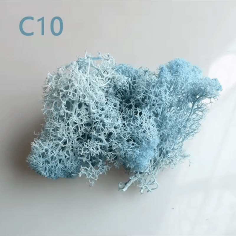 Artificial Preserved Moss Decor Eternal Greenery For DIY Micro Landscape Home Styling 11