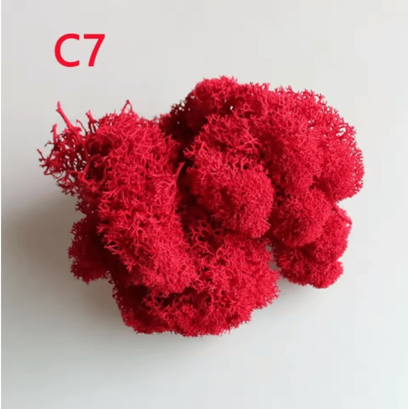 Artificial Preserved Moss Decor Eternal Greenery For DIY Micro Landscape Home Styling 14