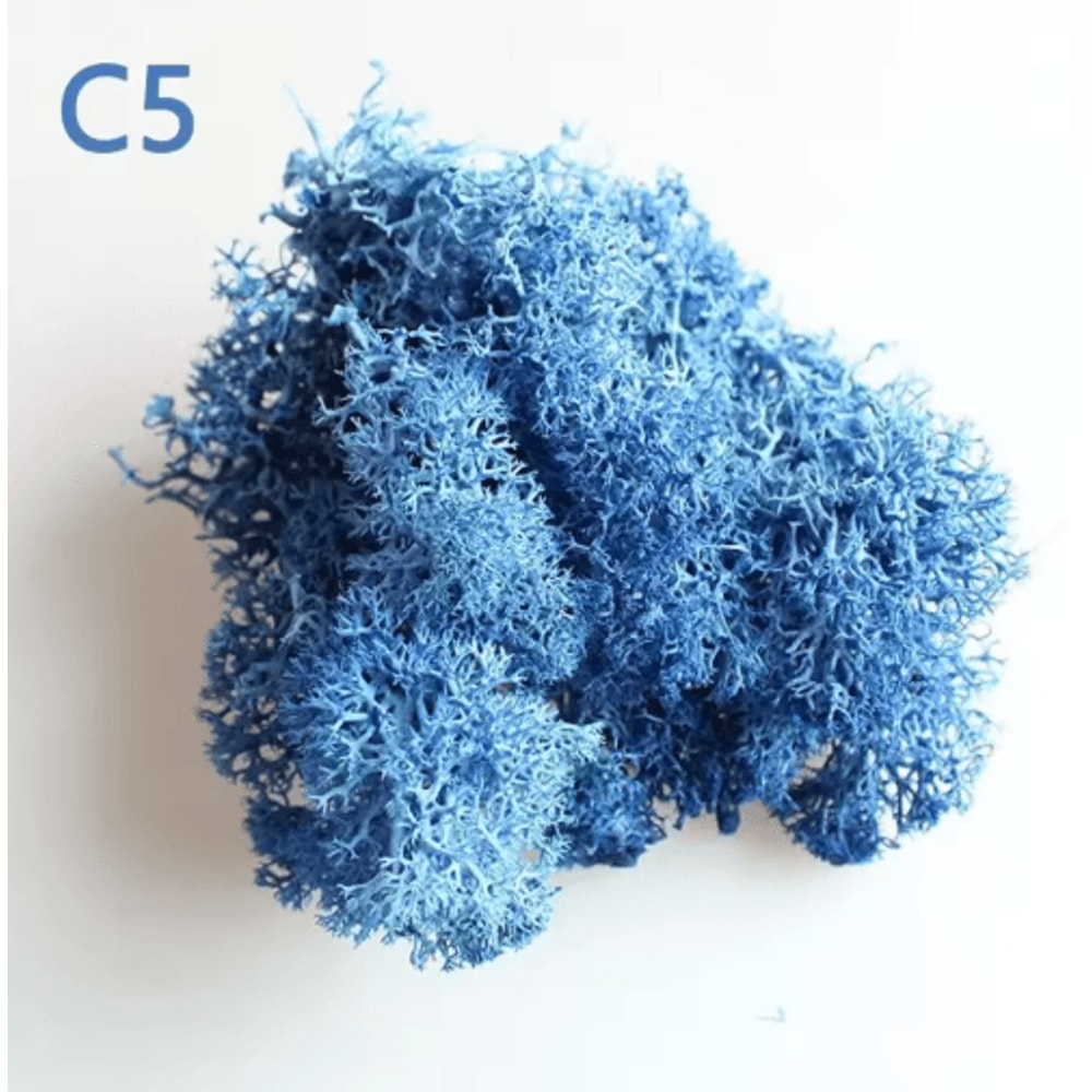 Artificial Preserved Moss Decor Eternal Greenery For DIY Micro Landscape Home Styling 15