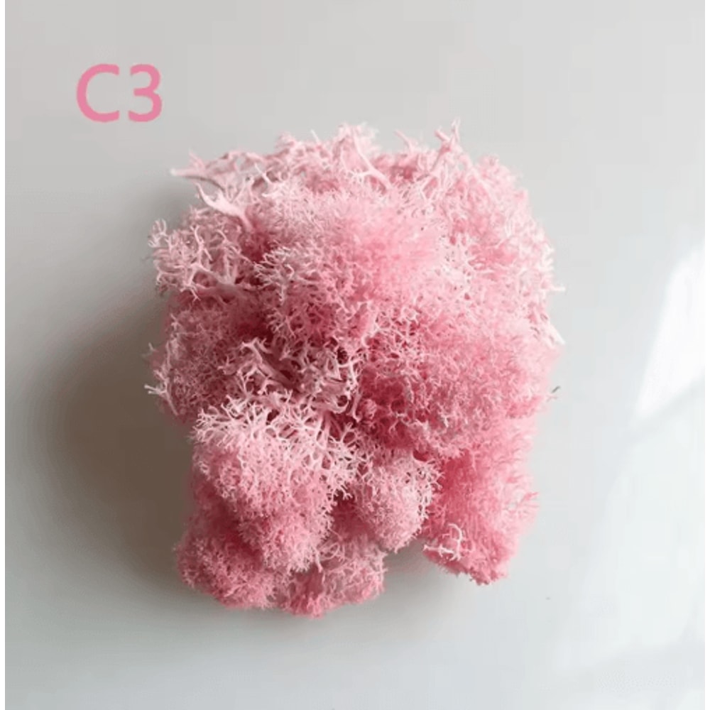 Artificial Preserved Moss Decor Eternal Greenery For DIY Micro Landscape Home Styling 16