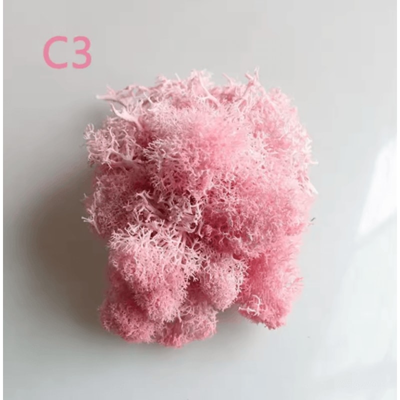 Artificial Preserved Moss Decor Eternal Greenery For DIY Micro Landscape Home Styling 16