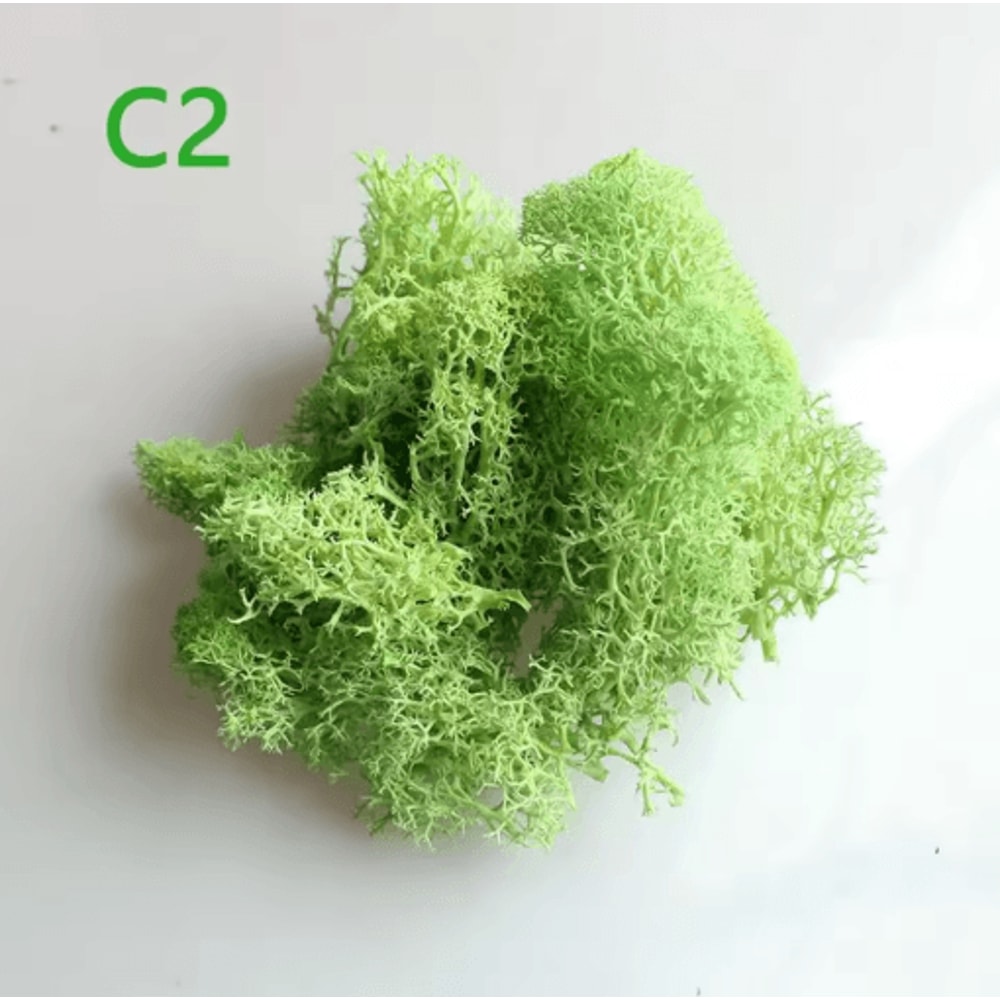 Artificial Preserved Moss Decor Eternal Greenery For DIY Micro Landscape Home Styling 18