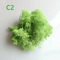 Artificial Preserved Moss Decor Eternal Greenery For DIY Micro Landscape Home Styling 18