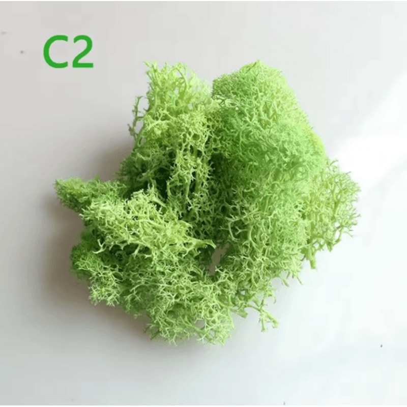 Artificial Preserved Moss Decor Eternal Greenery For DIY Micro Landscape Home Styling 18