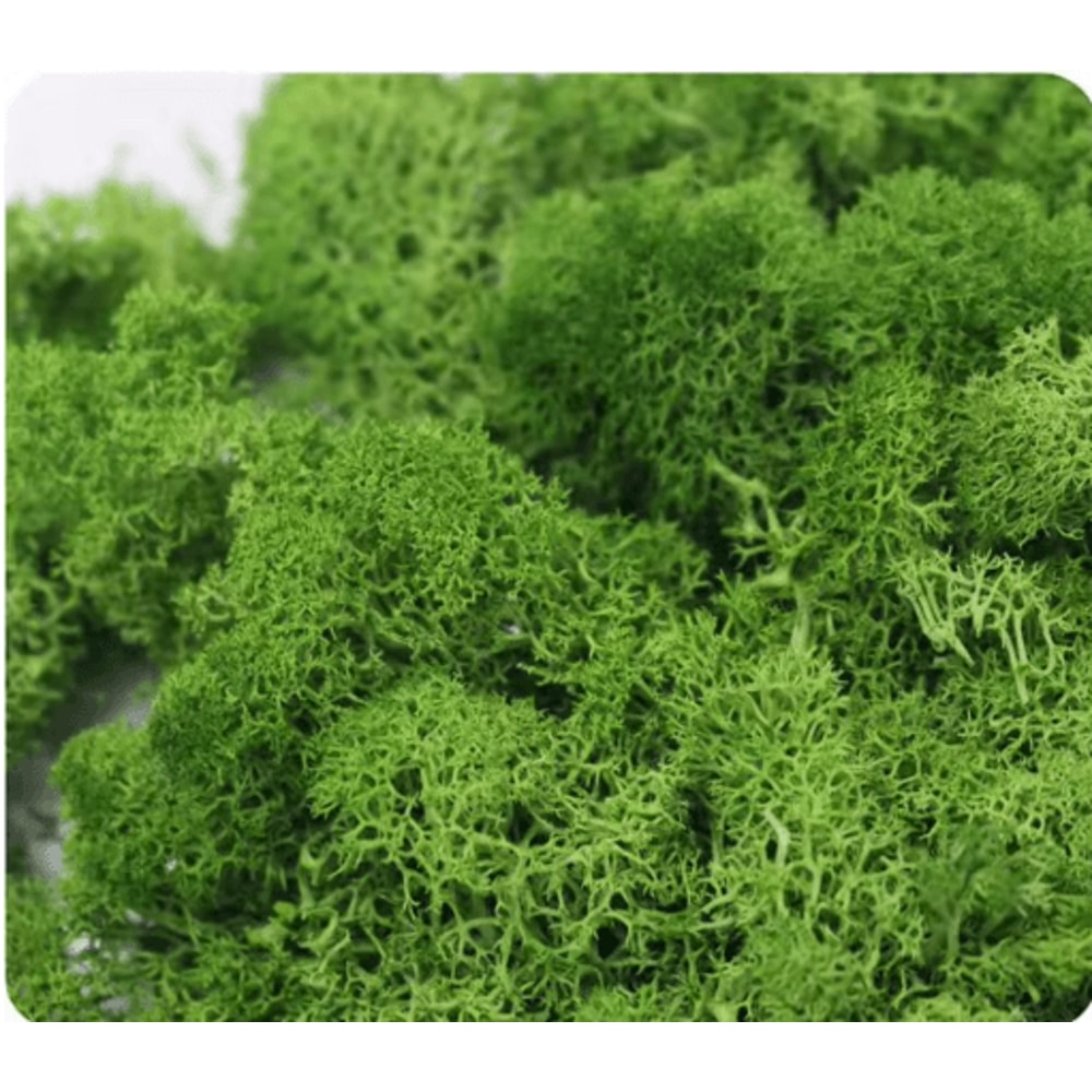 Artificial Preserved Moss Decor Eternal Greenery For DIY Micro Landscape Home Styling 21