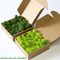 Artificial Preserved Moss Decor Eternal Greenery For DIY Micro Landscape Home Styling 22