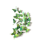 12PCS Magnetic Butterfly Stickers 3D PVC Wall Fridge Decor For DIY Home Styling 2
