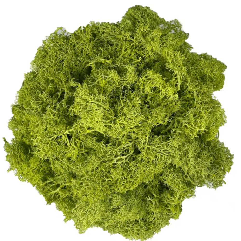 Artificial Reindeer Moss Decor NaturalLook Green Moss For Crafts Plant Styling 10