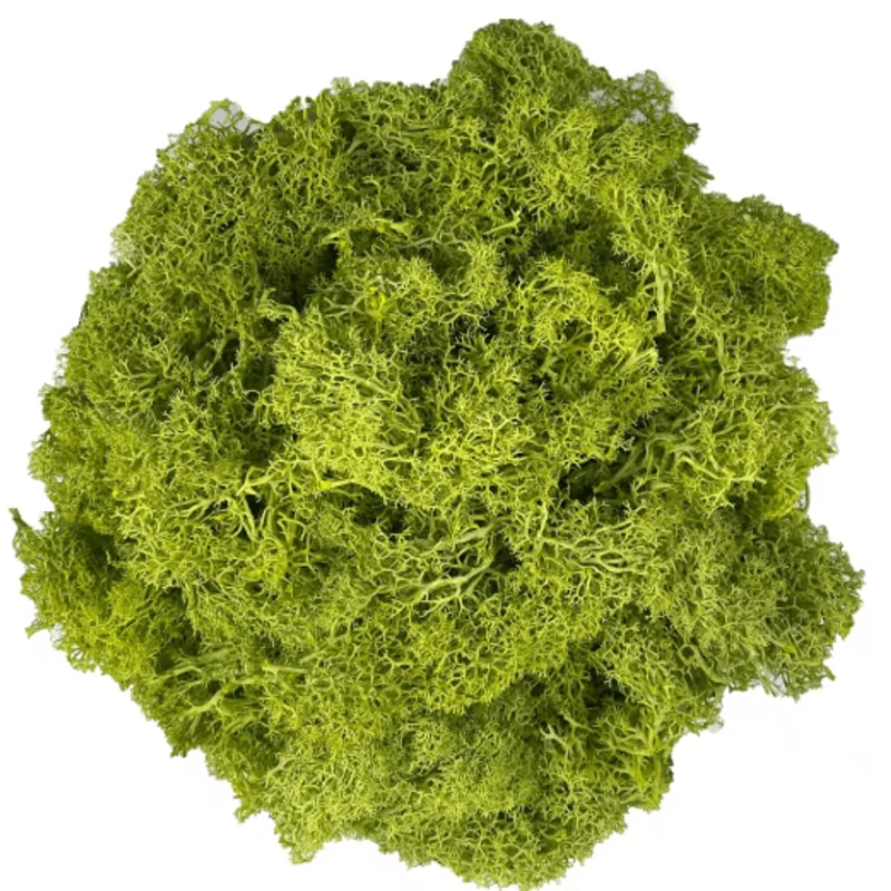 Artificial Reindeer Moss Decor NaturalLook Green Moss For Crafts Plant Styling 10