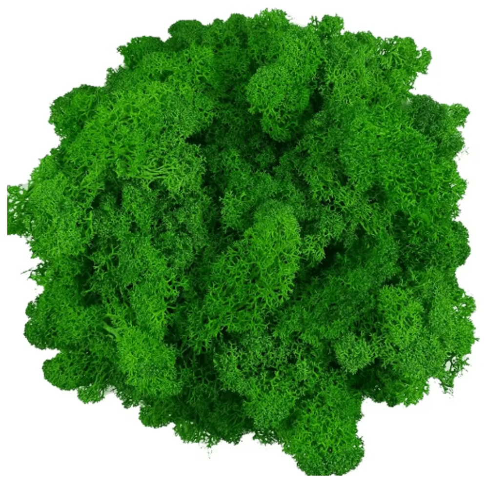 Artificial Reindeer Moss Decor NaturalLook Green Moss For Crafts Plant Styling 11