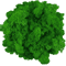 Artificial Reindeer Moss Decor NaturalLook Green Moss For Crafts Plant Styling 11