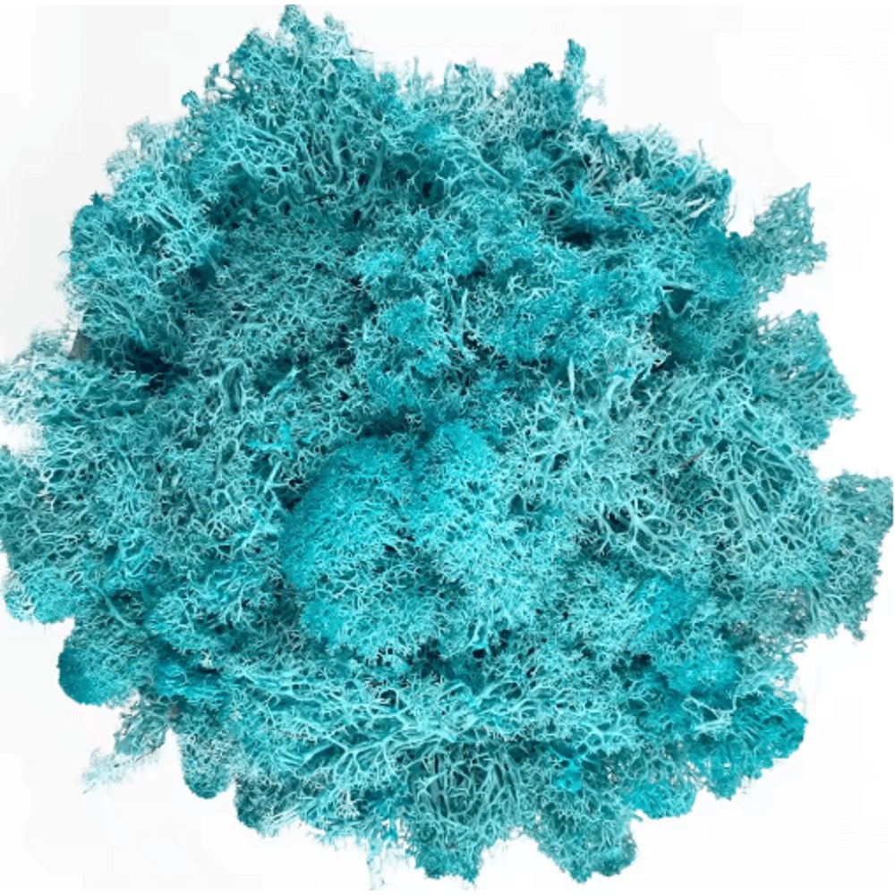 Artificial Reindeer Moss Decor NaturalLook Green Moss For Crafts Plant Styling 13