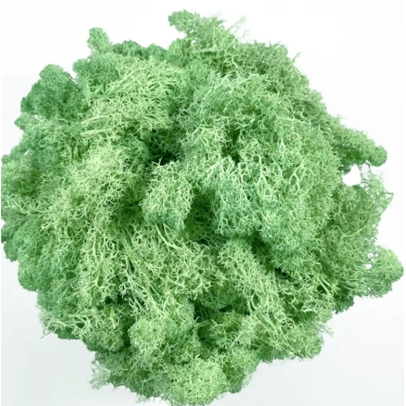 Artificial Reindeer Moss Decor NaturalLook Green Moss For Crafts Plant Styling 14