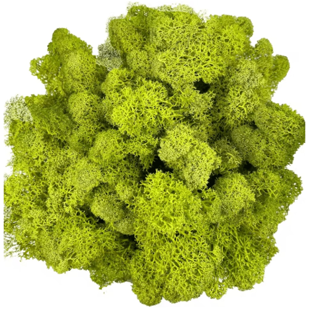 Artificial Reindeer Moss Decor NaturalLook Green Moss For Crafts Plant Styling 15