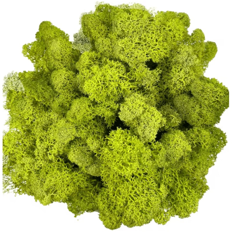 Artificial Reindeer Moss Decor NaturalLook Green Moss For Crafts Plant Styling 15