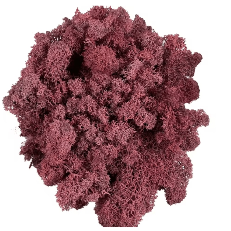 Artificial Reindeer Moss Decor NaturalLook Green Moss For Crafts Plant Styling 17