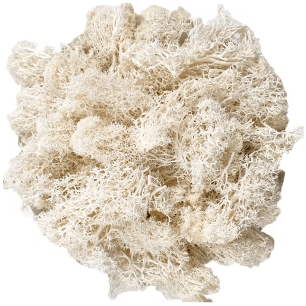 Artificial Reindeer Moss Decor NaturalLook Green Moss For Crafts Plant Styling 18