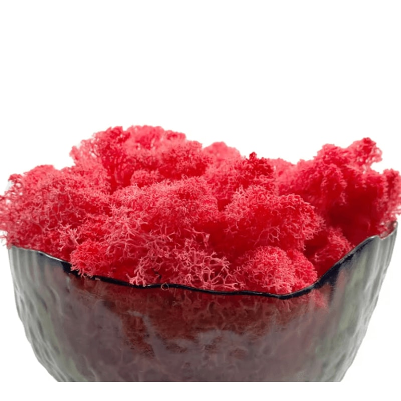 Artificial Reindeer Moss Decor NaturalLook Green Moss For Crafts Plant Styling 19