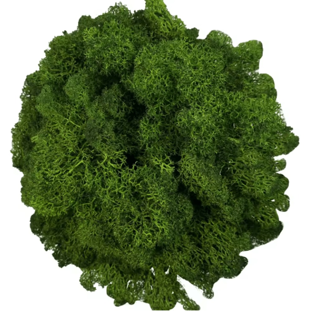 Artificial Reindeer Moss Decor NaturalLook Green Moss For Crafts Plant Styling 2