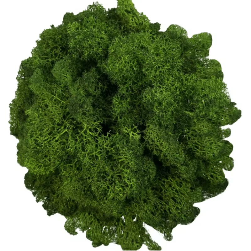 Artificial Reindeer Moss Decor NaturalLook Green Moss For Crafts Plant Styling 2