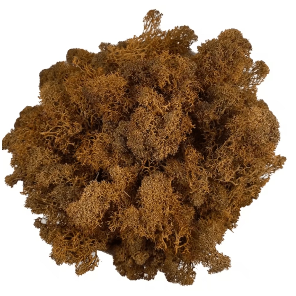 Artificial Reindeer Moss Decor NaturalLook Green Moss For Crafts Plant Styling 3