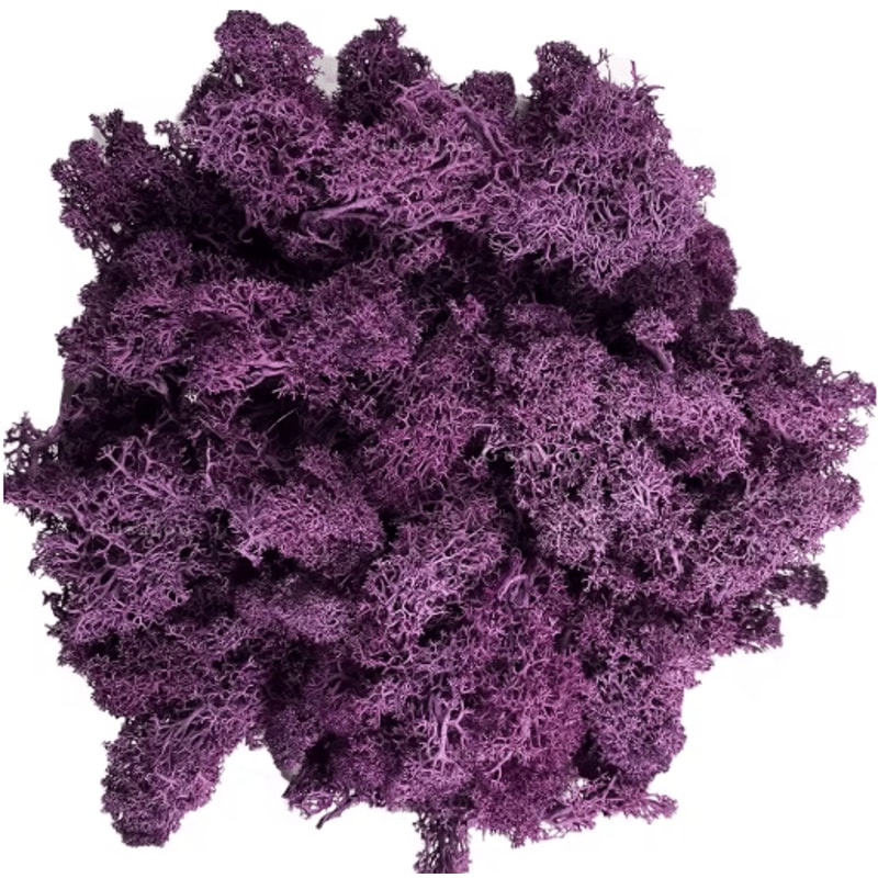 Artificial Reindeer Moss Decor NaturalLook Green Moss For Crafts Plant Styling 4