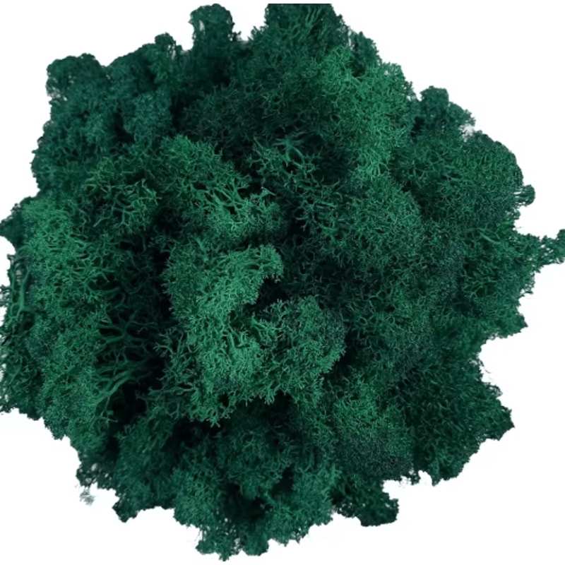 Artificial Reindeer Moss Decor NaturalLook Green Moss For Crafts Plant Styling 5