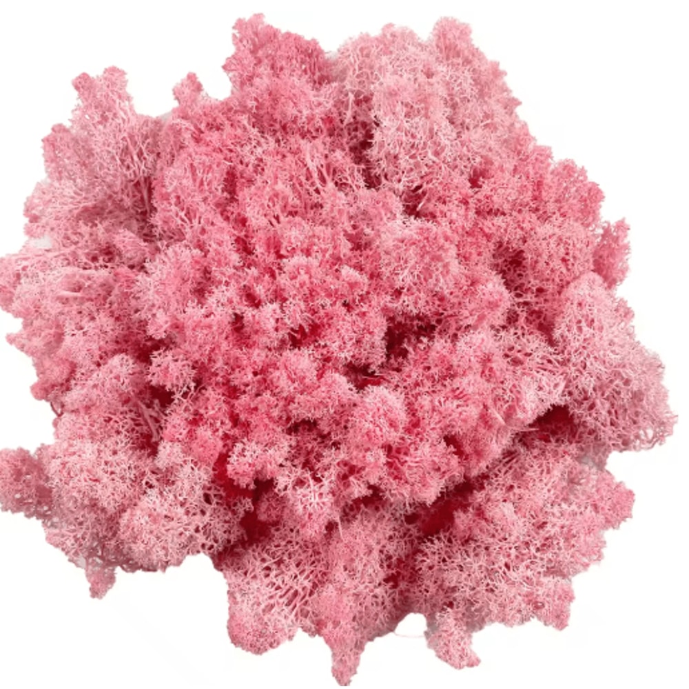 Artificial Reindeer Moss Decor NaturalLook Green Moss For Crafts Plant Styling 6