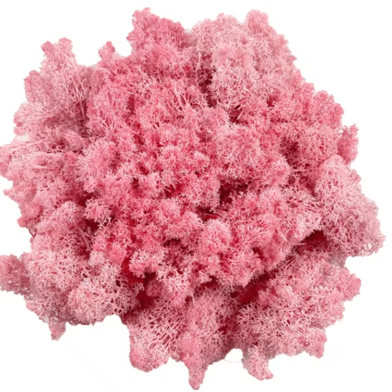 Artificial Reindeer Moss Decor NaturalLook Green Moss For Crafts Plant Styling 6