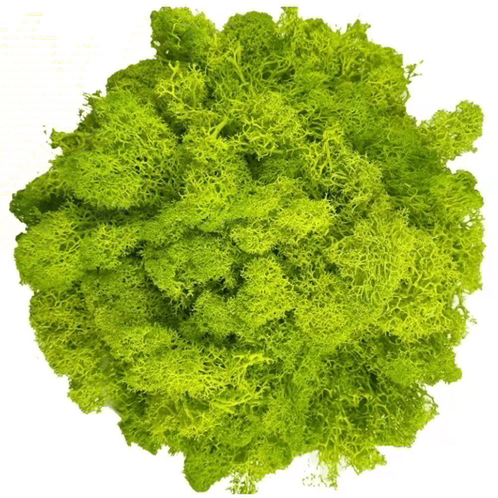Artificial Reindeer Moss Decor NaturalLook Green Moss For Crafts Plant Styling 7