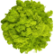 Artificial Reindeer Moss Decor NaturalLook Green Moss For Crafts Plant Styling 7