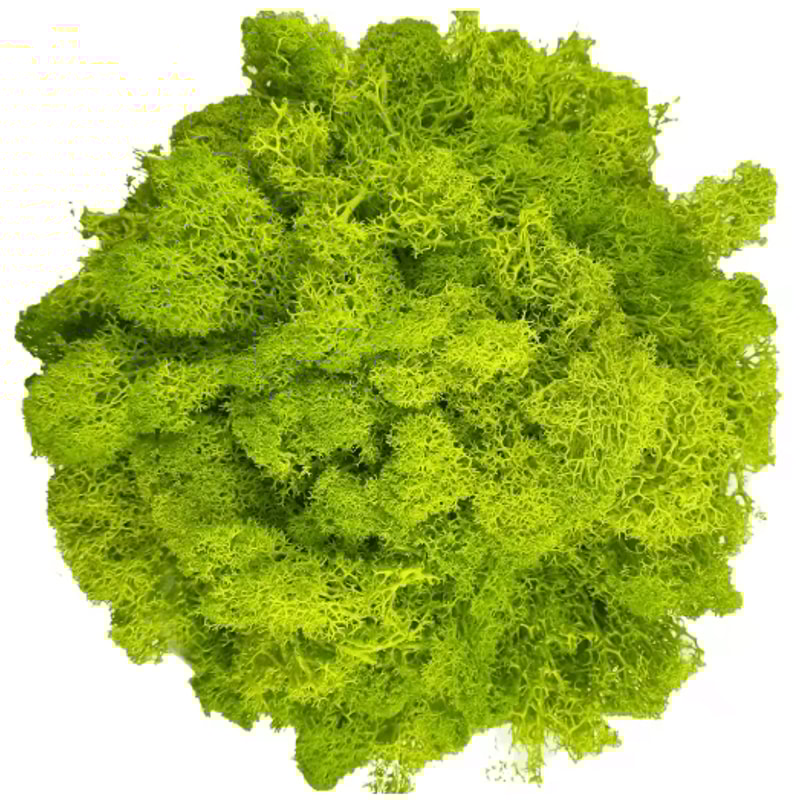 Artificial Reindeer Moss Decor NaturalLook Green Moss For Crafts Plant Styling 7