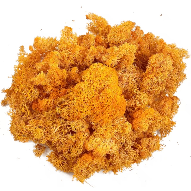 Artificial Reindeer Moss Decor NaturalLook Green Moss For Crafts Plant Styling 8