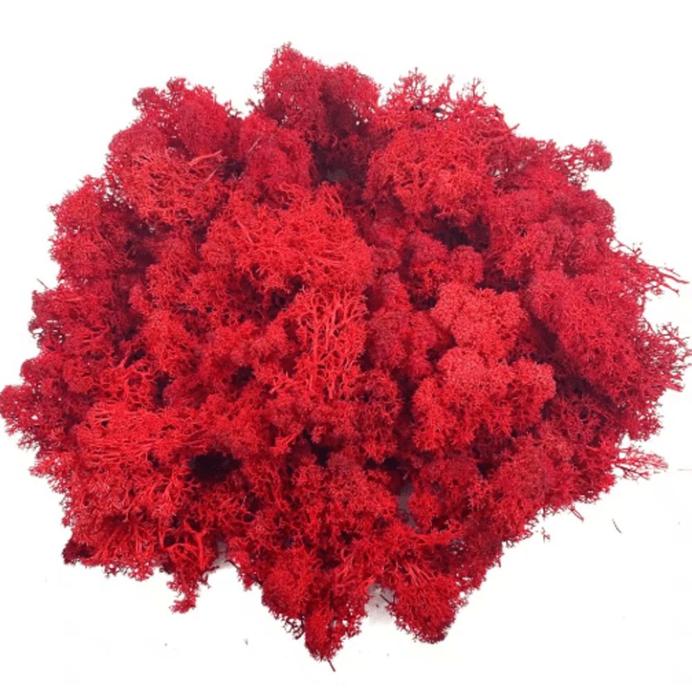 Artificial Reindeer Moss Decor NaturalLook Green Moss For Crafts Plant Styling 9