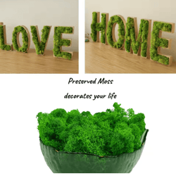 artificial reindeer moss decor – natural-look green moss for crafts & plant styling