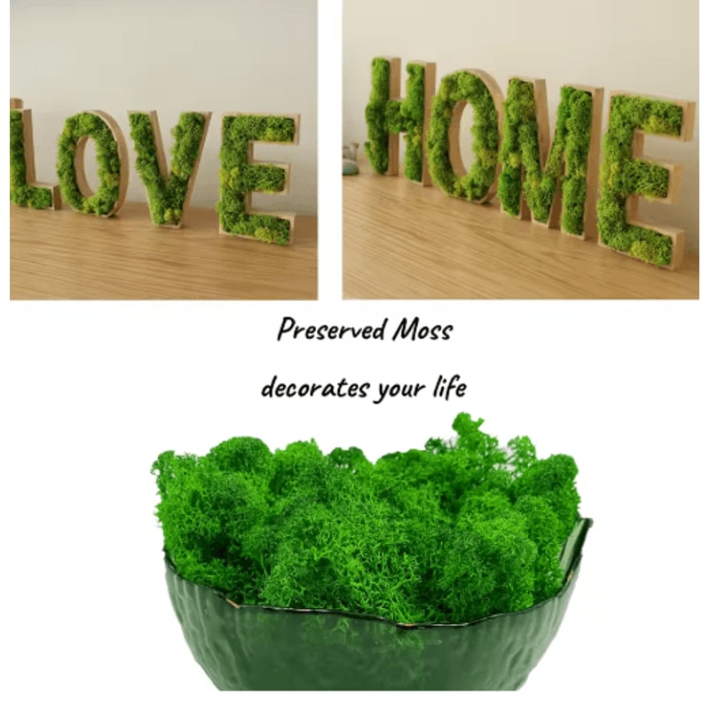 Artificial Reindeer Moss Decor NaturalLook Green Moss For Crafts Plant Styling 0