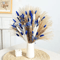 Blue Rabbit Tail Pampas Grass Bouquet Dried Flower Arrangement For Boho Home Decor 12