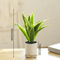 Artificial Bonsai Plant Mini Potted Tree For Desk Home Decor 9