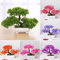 Artificial Bonsai Plant Mini Potted Tree For Desk Home Decor 0