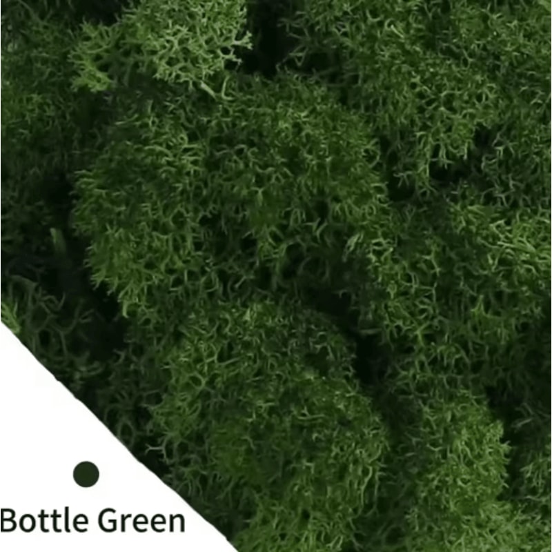 Artificial Moss Grass Mini Landscape Fake Greenery For DIY Home Decor 5