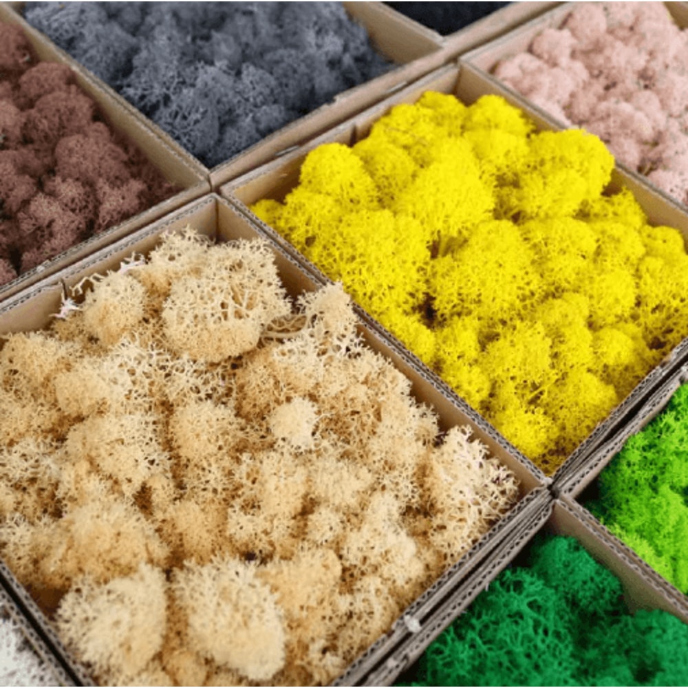 Artificial Moss Grass Mini Landscape Fake Greenery For DIY Home Decor 11