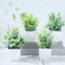 Mini Artificial Bonsai Plant Set Small Potted Greenery For Home Event Decor 11