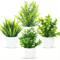 Mini Artificial Bonsai Plant Set Small Potted Greenery For Home Event Decor 12
