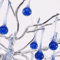 Luxury Branch Crystal Chandelier Modern Teardrop Hanging Lamp For Living Dining Spaces 19