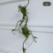 Artificial Rattan Vine Branch Rustic Wall Hanging Wedding Decor Accent 4