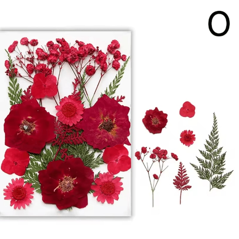 Natural Dried Flower Resin Fillings Real Pressed Flowers For Nail Art DIY Crafts 2