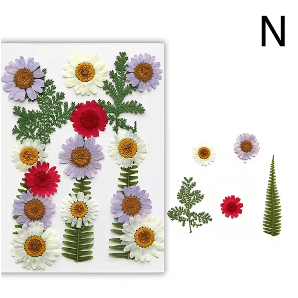 Natural Dried Flower Resin Fillings Real Pressed Flowers For Nail Art DIY Crafts 3