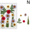 Natural Dried Flower Resin Fillings Real Pressed Flowers For Nail Art DIY Crafts 3
