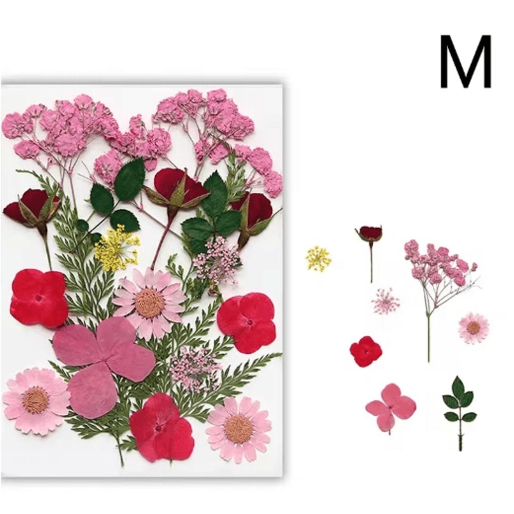 Natural Dried Flower Resin Fillings Real Pressed Flowers For Nail Art DIY Crafts 4